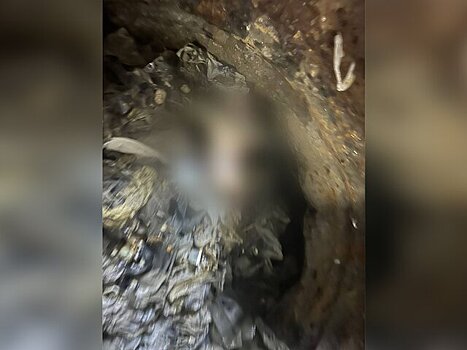 Тело второго младенца обнаружили на насосной станции в ТиНАО