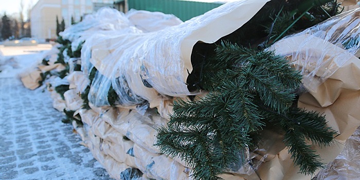 В Воронеже на площади Ленина начали устанавливать новогоднюю елку