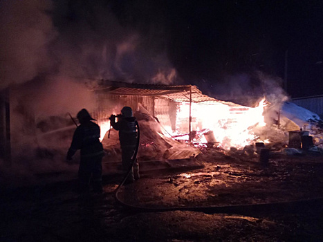 В сгоревшем доме в Кинельском районе погиб человек