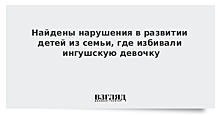 Найдены нарушения в развитии детей из семьи, где избивали ингушскую девочку