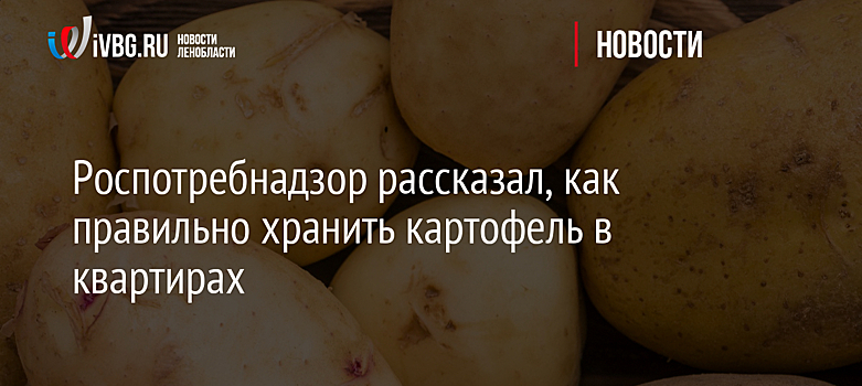 Роспотребнадзор рассказал, как правильно хранить картофель в квартирах