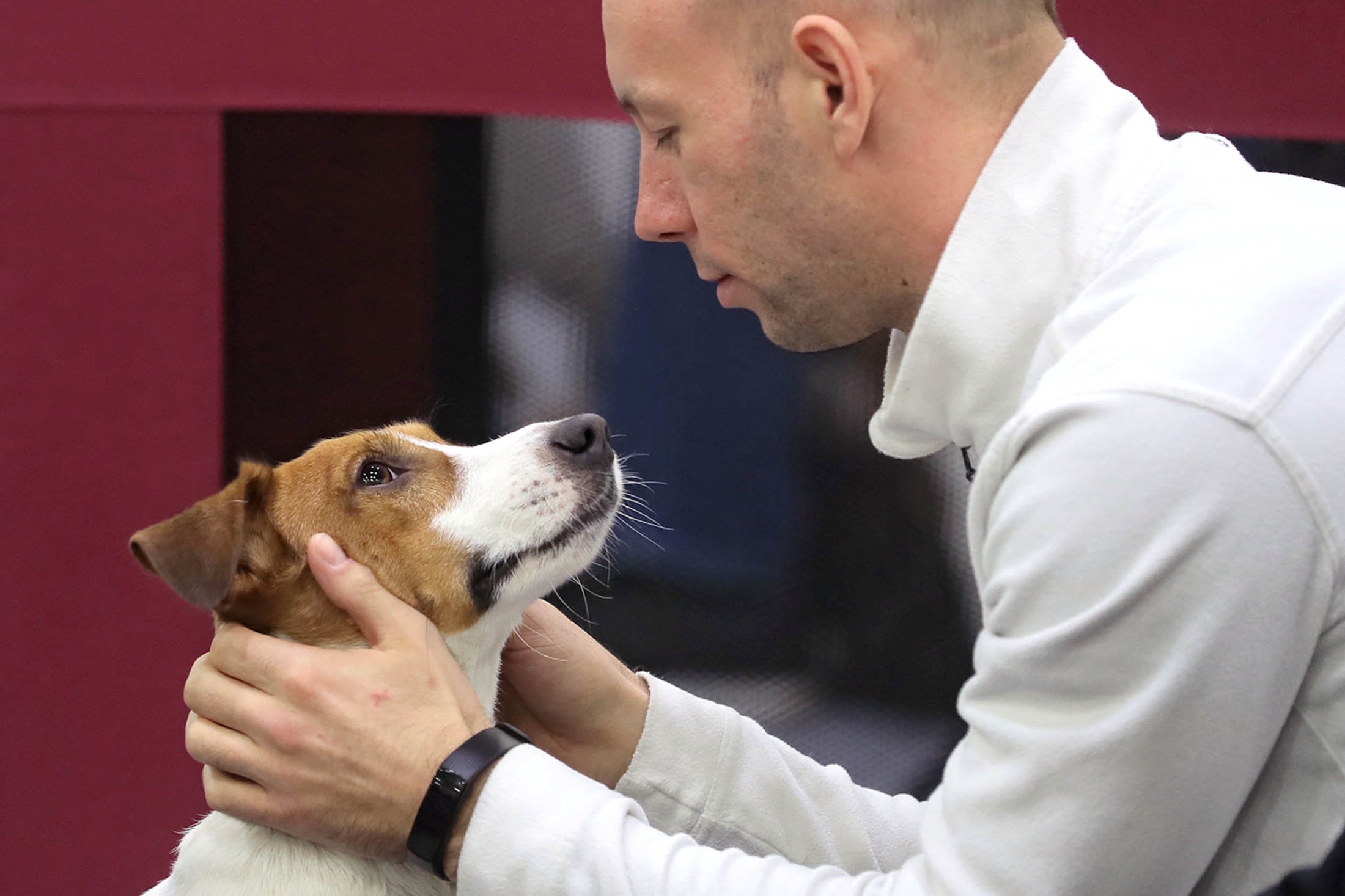 В Госдуму внесен проект о маркировке и реестре домашних питомцев