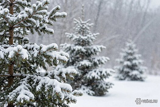 В Кузбасс прорывается морозный воздух из Якутии: близится похолодание