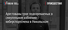 Арестованы трое подозреваемых в смертельном избиении киберспортсмена в Никольском