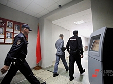 В Ленобласти задержали торговавшего лесом депутата местного закса