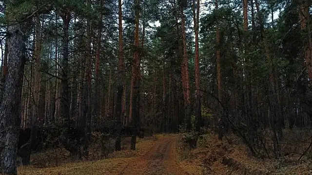 Народные приметы на 30 октября 2024 года: что нельзя делать в этот день