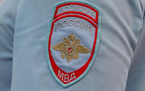 Рязанец посчитал себя гражданином СССР и подрался с полицией из-за паспорта РФ
