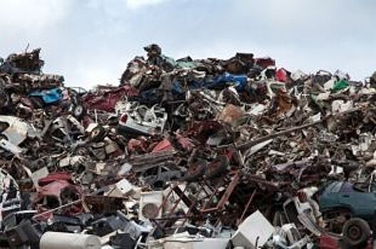 Стихийные свалки в Орле должны ликвидировать до конца марта