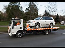 В Госдуме предлагают перестать эвакуировать автомобили с животными внутри