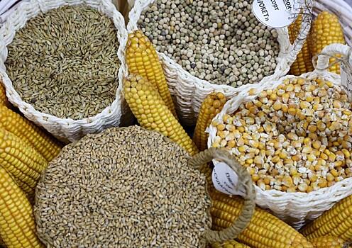 Замминистра сельского хозяйства оценил, насколько РФ обеспечена продуктами