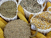 Замминистра сельского хозяйства оценил, насколько РФ обеспечена продуктами