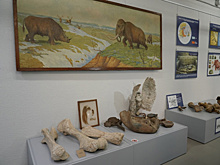 Послания из палеолита: в Самаре представили артефакты каменного века