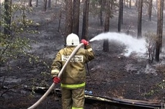 В Дагестане борются с природными пожарами