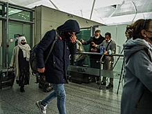 МИД прокомментировал освобождение гражданина России из иракского плена