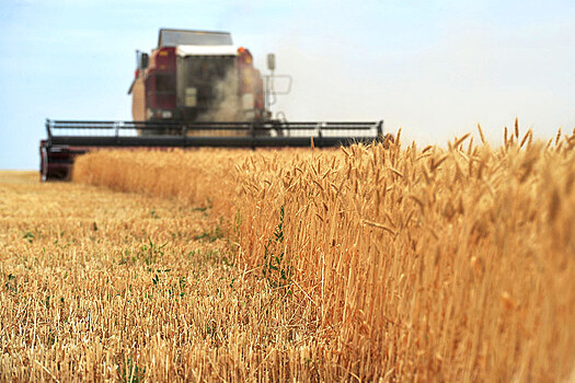 Ткачев рассказал о росте урожая зерна на 10%