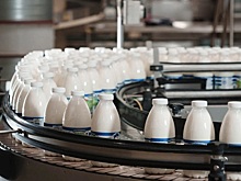 Health & Nutrition увеличила производство современной молочной продукции на 27%