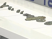 В Чечне совершили важное научное открытие