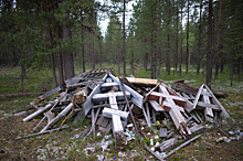 Открытие нового кладбища в Подмосковье поставили под сомнение
