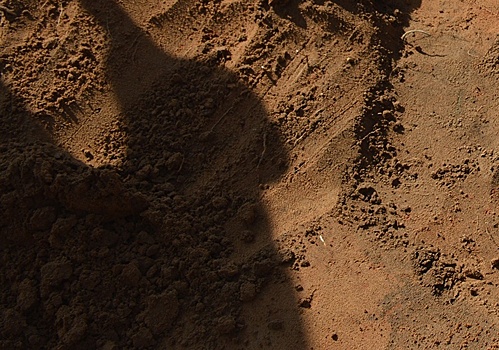 Каждая десятая проба почвы в Удмуртии не соответствует нормам