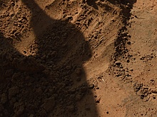 Каждая десятая проба почвы в Удмуртии не соответствует нормам