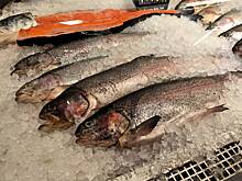 В России нашли плюсы в запрете импорта морепродуктов