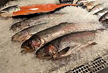 В России нашли плюсы в запрете импорта морепродуктов