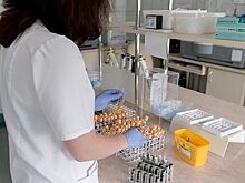 Более 270 человек подхватили острую кишечную инфекцию в Дагестане