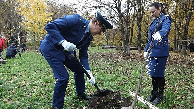150 саженцев липы высадили в Вологде в честь 300-летия прокуратуры России