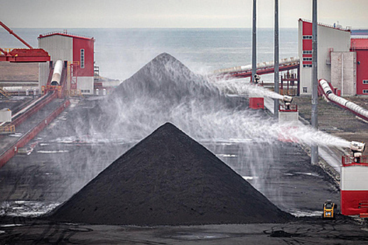 В Госдуме прокомментировали отказ Польши от поставок российского угля