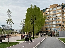 В Омске на Центральном пляже у Ленинградского моста снесли еще почти 30 деревьев