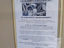 Псевдоволонтёры-коробочники: в Калининграде аферисты в автобусах собирают деньги якобы на помощь детям