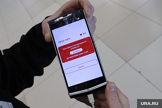 В Кургане придумали, как за 500 рублей в час обойти QR-код