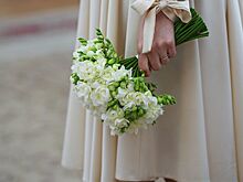 Почти 1200 пар поженились в Москве 22 июля