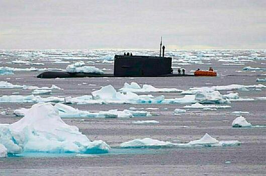 Подводная лодка всплыла в Финском заливе недалеко от Сестрорецка: что произошло
