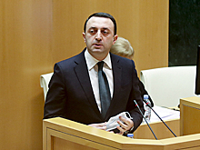 Грузинский премьер обвинил протестующих в распространении коронавируса