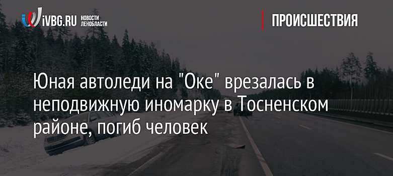 Юная автоледи на "Оке" врезалась в неподвижную иномарку в Тосненском районе, погиб человек
