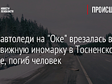 Юная автоледи на "Оке" врезалась в неподвижную иномарку в Тосненском районе, погиб человек