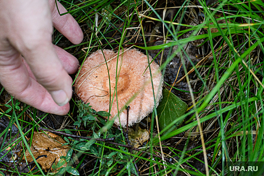 Пропавшего 77-летнего пенсионера в Тюменской области нашли мёртвым