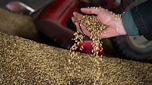МИД России назвал условия возобновления зерновой сделки