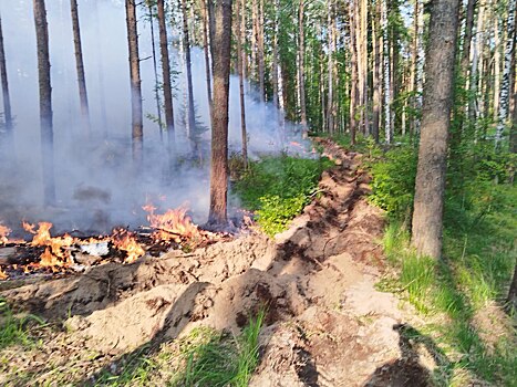 В Воткинском районе почти сутки тушили лесной пожар