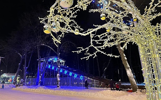 ТОП-5 мест, куда пойти в Рязани в Новый год и Рождество