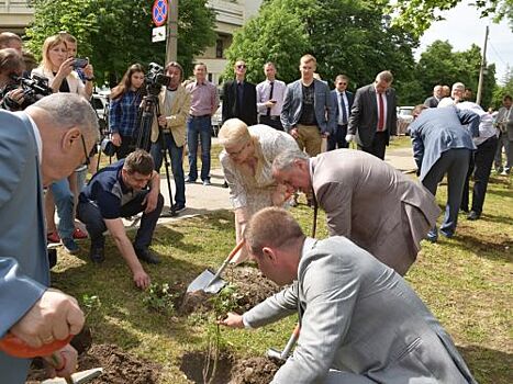 Власти Симферополя высадили розы в честь юбилея Госсовета