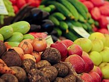 Российская экопродукция получит название "зеленый стандарт"