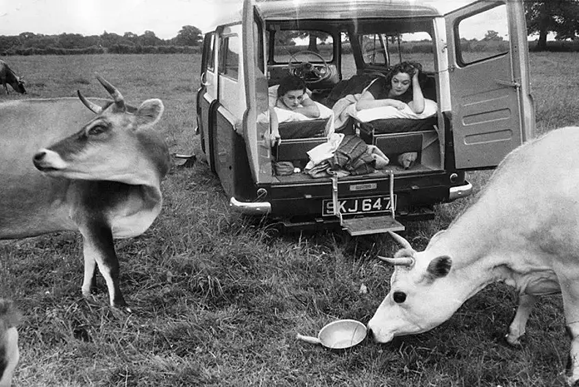 7 августа 1954 года. Девушки наблюдают за коровами из фургона.