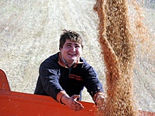 Омские аграрии столкнулись с проблемой реализации зерна нового урожая