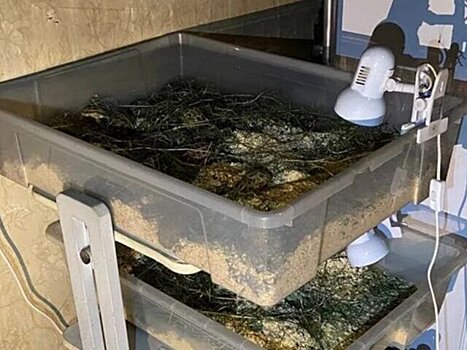 В Ленобласти пожарные спасли из огня 700 черепах, 11 ежей, 11 хомяков и 3 кроликов