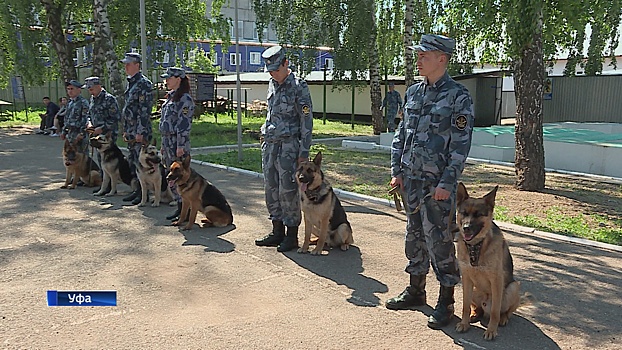 На службу в УФСИН по Адыгее поступили бельгийские овчарки