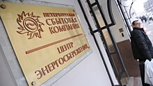 Сын ректора СПбГУ стал гендиректором «Петербургской сбытовой компании»