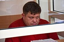 Бизнесмен, сбивший депутата Митрофанова, не смог обжаловать приговор суда