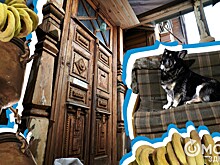 Баранки повесить, поставить самовар. Как пёс Кузя 11 лет охраняет затерянные в Омске хоромы